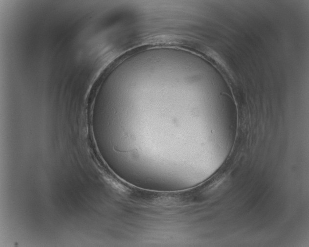 X0000067831075200604201209