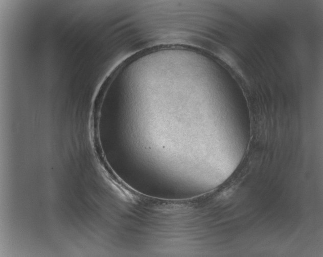 X0000067831076200604201209