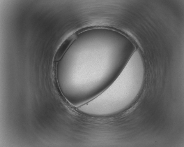 X0000067831077200604201209