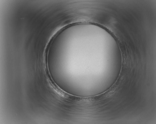 X0000067831078200604201209