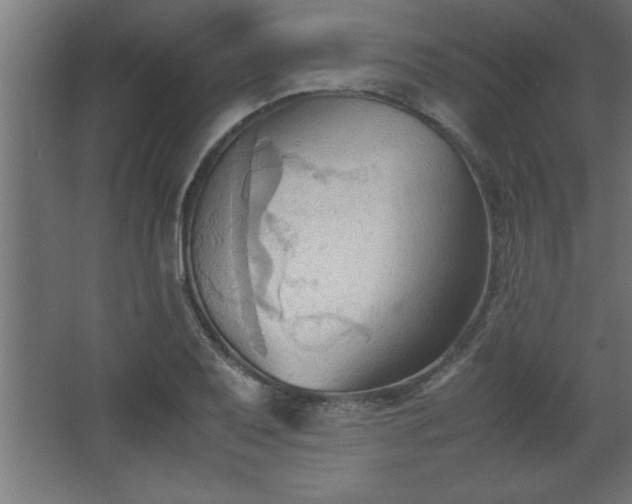 X0000067831079200604201209