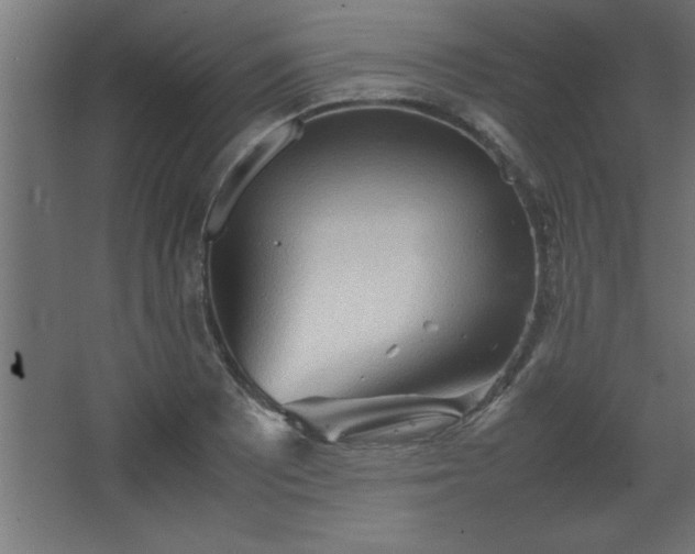 X0000067831081200604201209