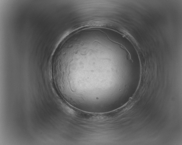 X0000067831083200604201209