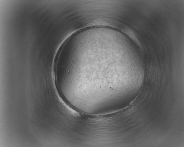 X0000067831084200604201209