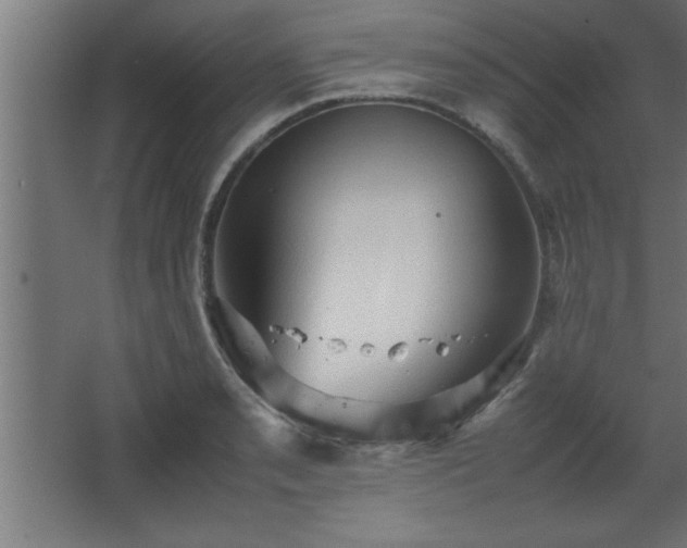 X0000067831085200604201209