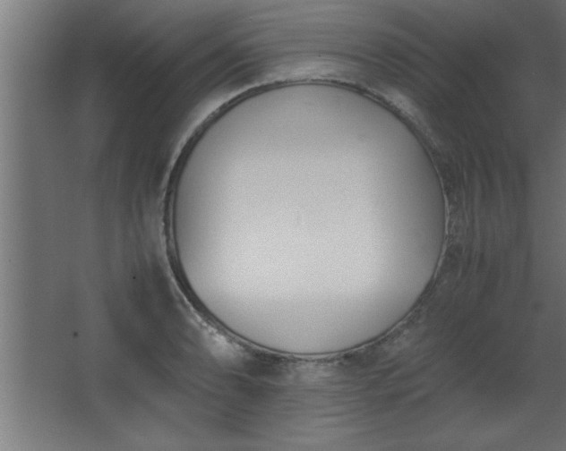 X0000067831086200604201209