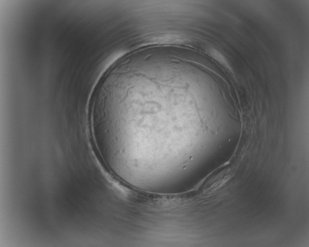 X0000067831087200604201209