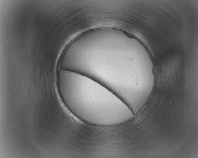 X0000067831088200604201209