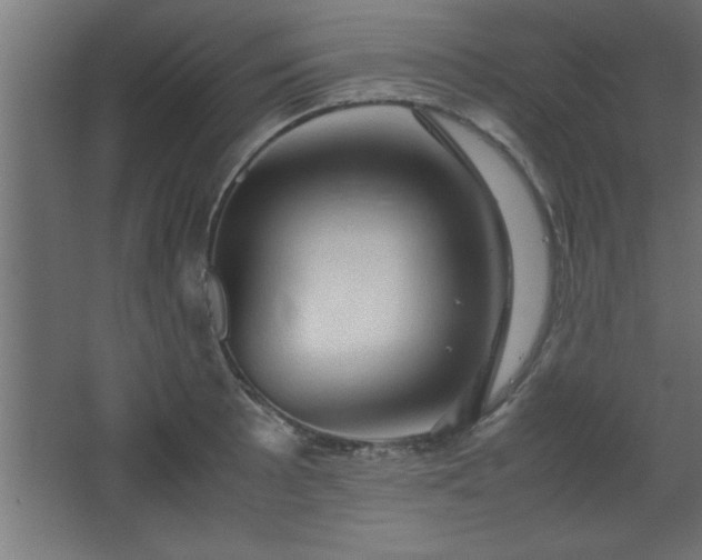 X0000067831089200604201209