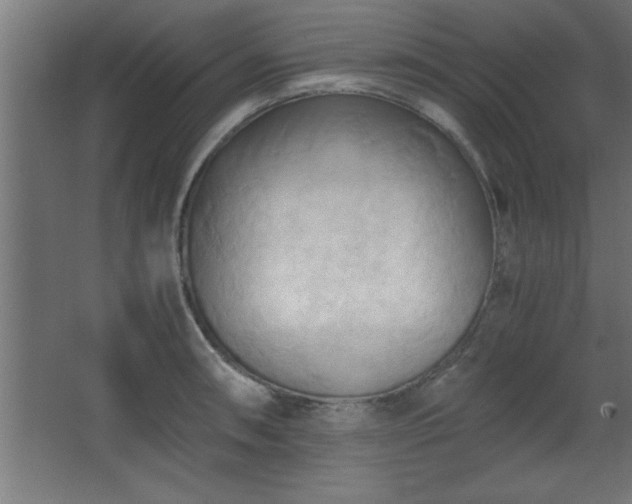 X0000067831090200604201209