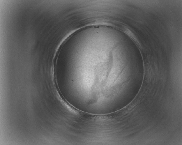 X0000067831092200604201209