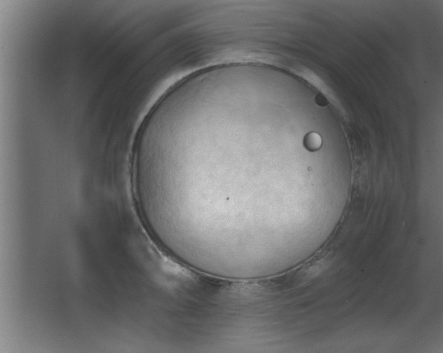 X0000067831094200604201209