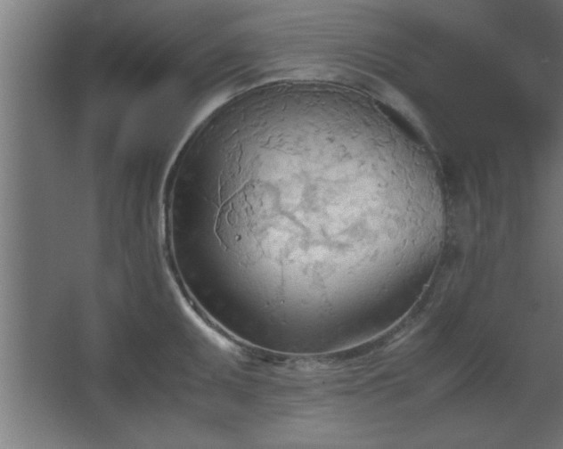 X0000067831095200604201209