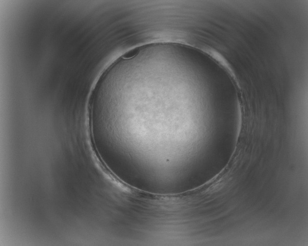 X0000067831096200604201209