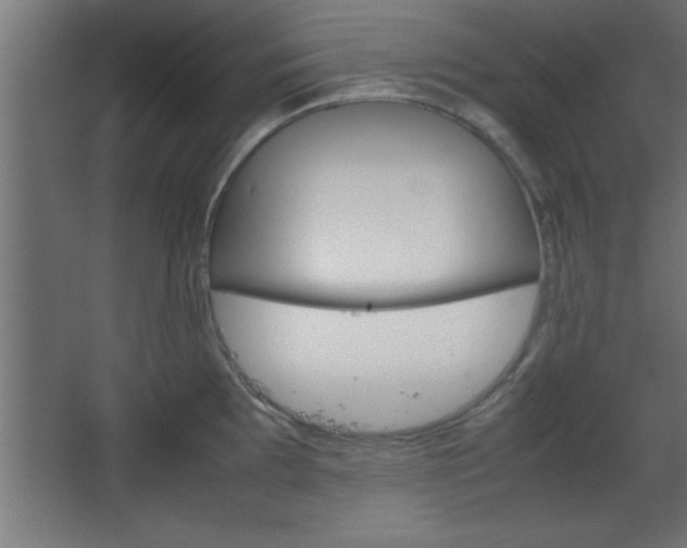 X0000067831097200604201209