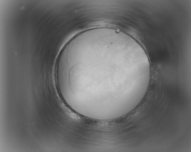 X0000067831098200604201209