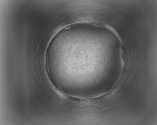 X0000067831099200604201209