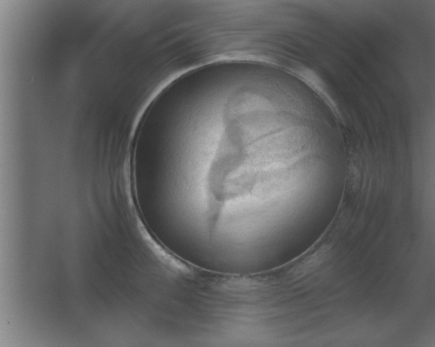 X0000067831100200604201209