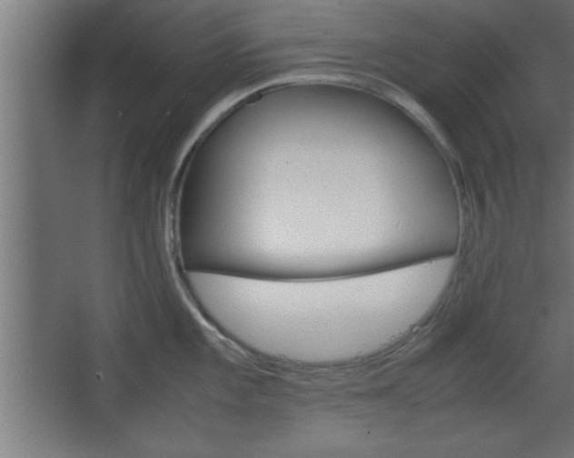 X0000067831101200604201209