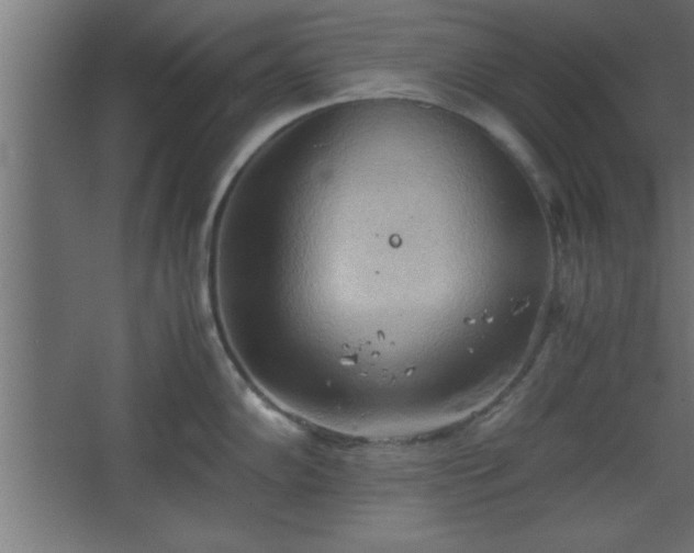 X0000067831102200604201209