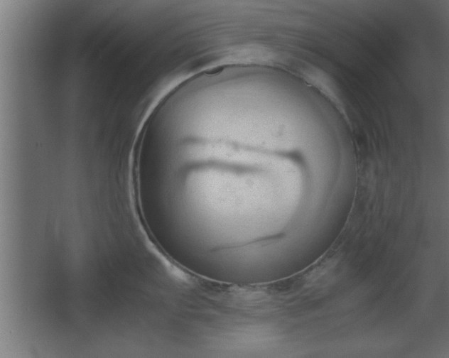 X0000067831103200604201209