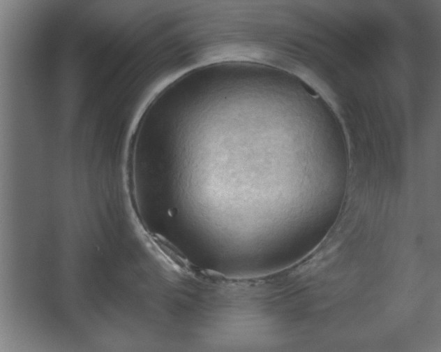 X0000067831104200604201209