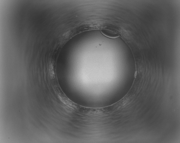 X0000067831106200604201208