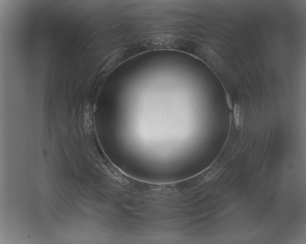 X0000067831107200604201208