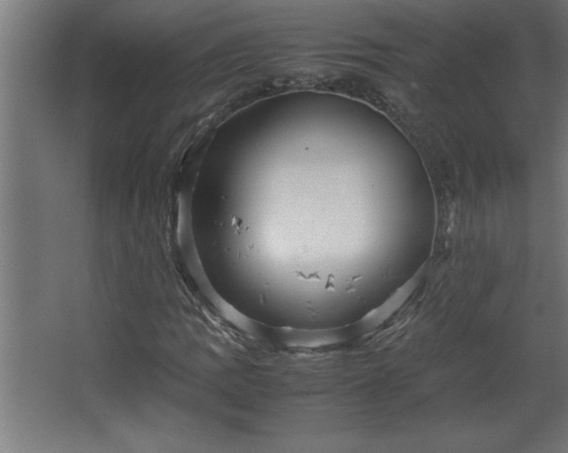 X0000067831109200604201208