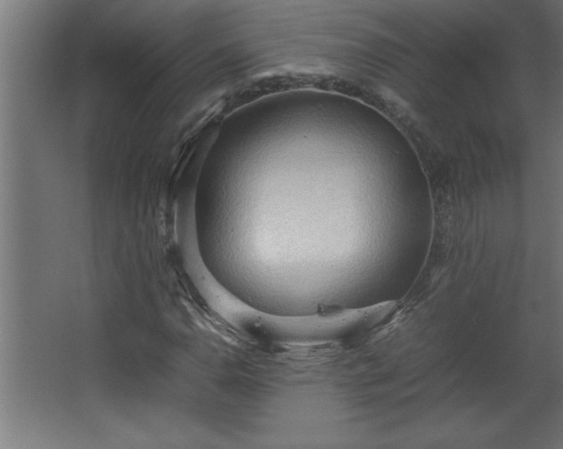 X0000067831110200604201208