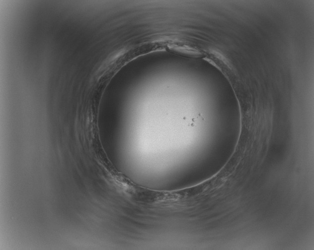 X0000067831111200604201208