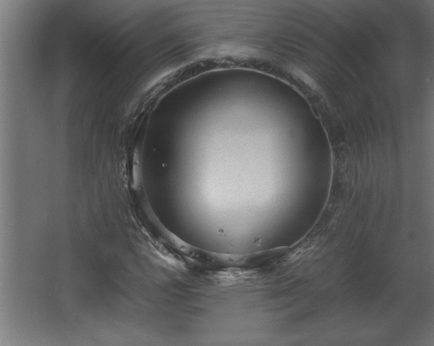 X0000067831112200604201208