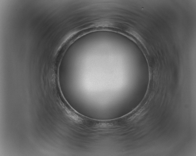 X0000067831115200604201208