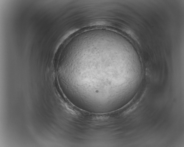 X0000067831117200604201208