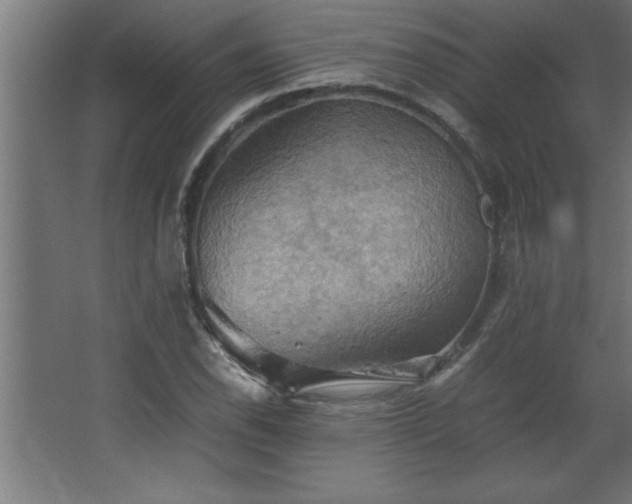 X0000067831118200604201208