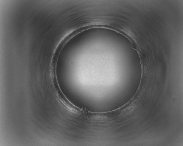 X0000067831119200604201208