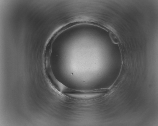 X0000067831120200604201208