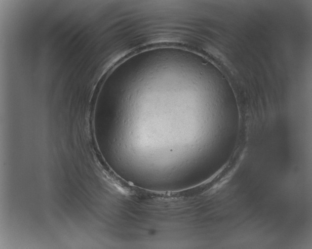 X0000067831121200604201208