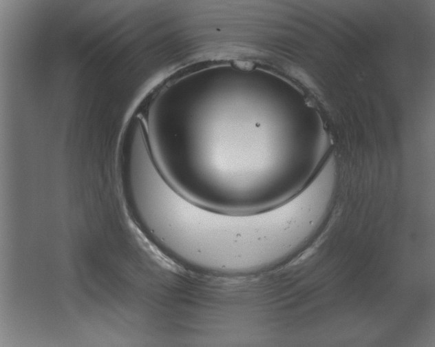 X0000067831122200604201208