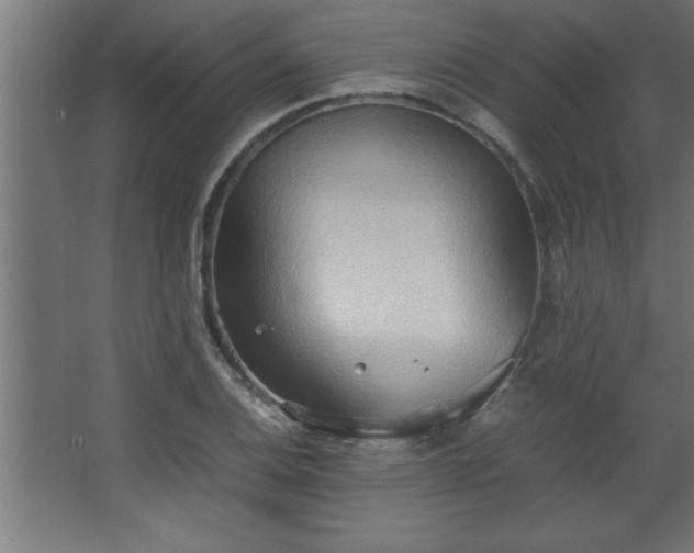 X0000067831124200604201208