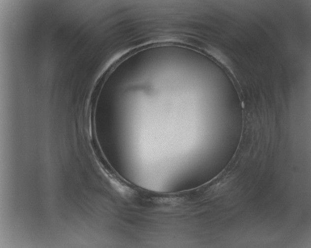 X0000067831127200604201208