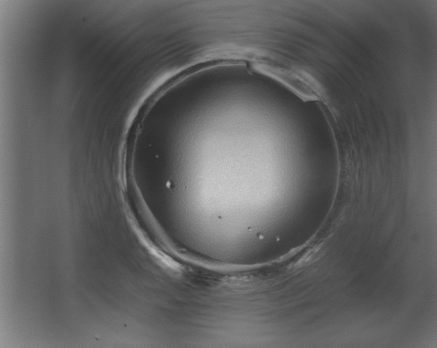 X0000067831128200604201208