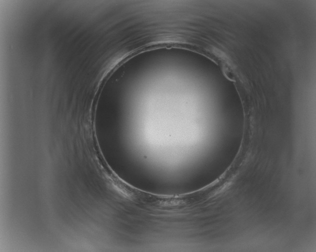 X0000067831129200604201208