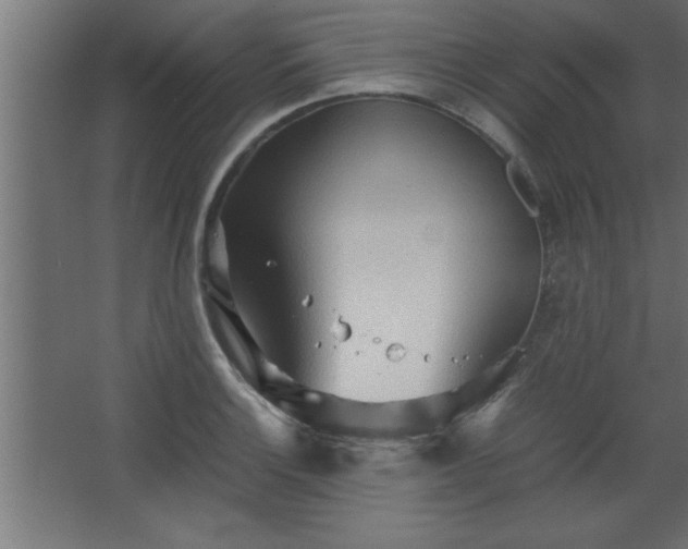 X0000067831132200604201208