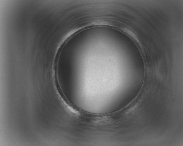 X0000067831133200604201208