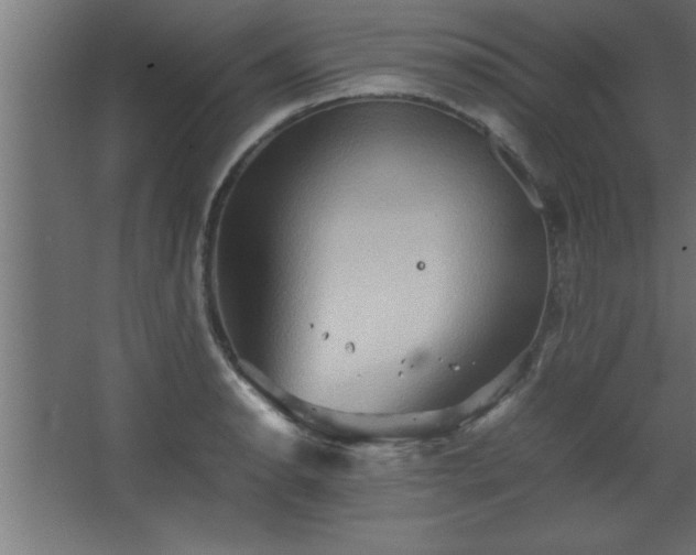 X0000067831134200604201208