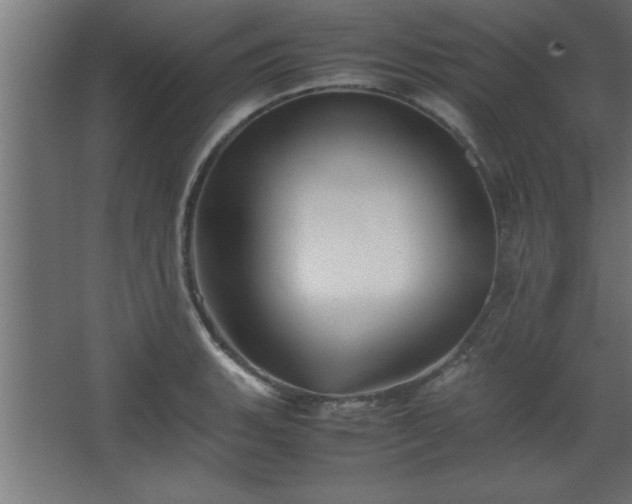 X0000067831135200604201208