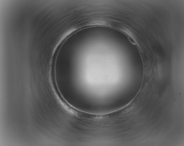 X0000067831139200604201209