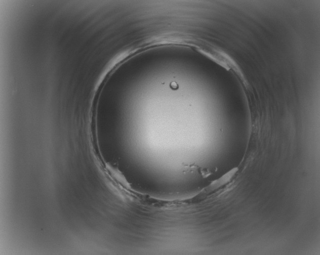 X0000067831146200604201209