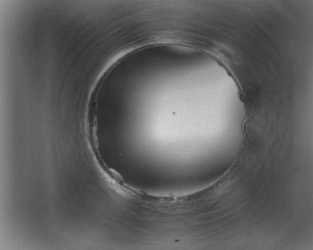 X0000067831147200604201209